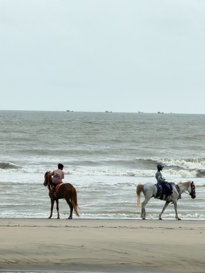 Horses on the beach at Cox's Bazar