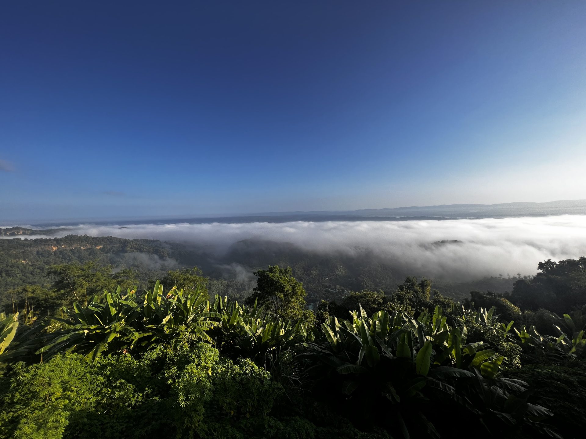 The coastline from the hills
